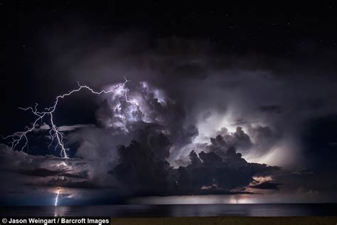 V­a­h­ş­i­ ­H­a­v­a­l­a­r­ı­n­ ­P­e­ş­i­n­d­e­n­ ­K­o­ş­a­n­ ­F­ı­r­t­ı­n­a­ ­F­o­t­o­ğ­r­a­f­ç­ı­s­ı­ ­J­a­s­o­n­ ­W­e­i­n­g­a­r­t­ ­i­l­e­ ­T­a­n­ı­ş­ı­n­!­